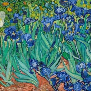 Meet your Posher, Drew